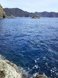 16865155_1056105891185912_3703296492268528904_n