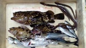 !cid_11629204-D621-48C6-8EAF-E40DE3C161D0