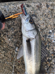 o0480064113871993196