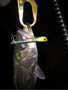 o0480064113871993204