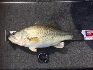 あと１センチ（笑）