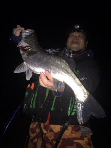 o0480064113900320348