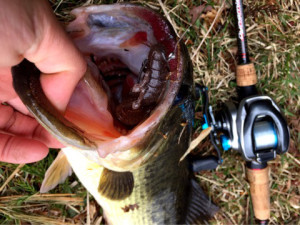 o0480036013912169010