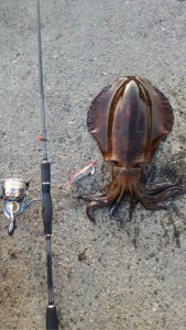 o0480085413938485458