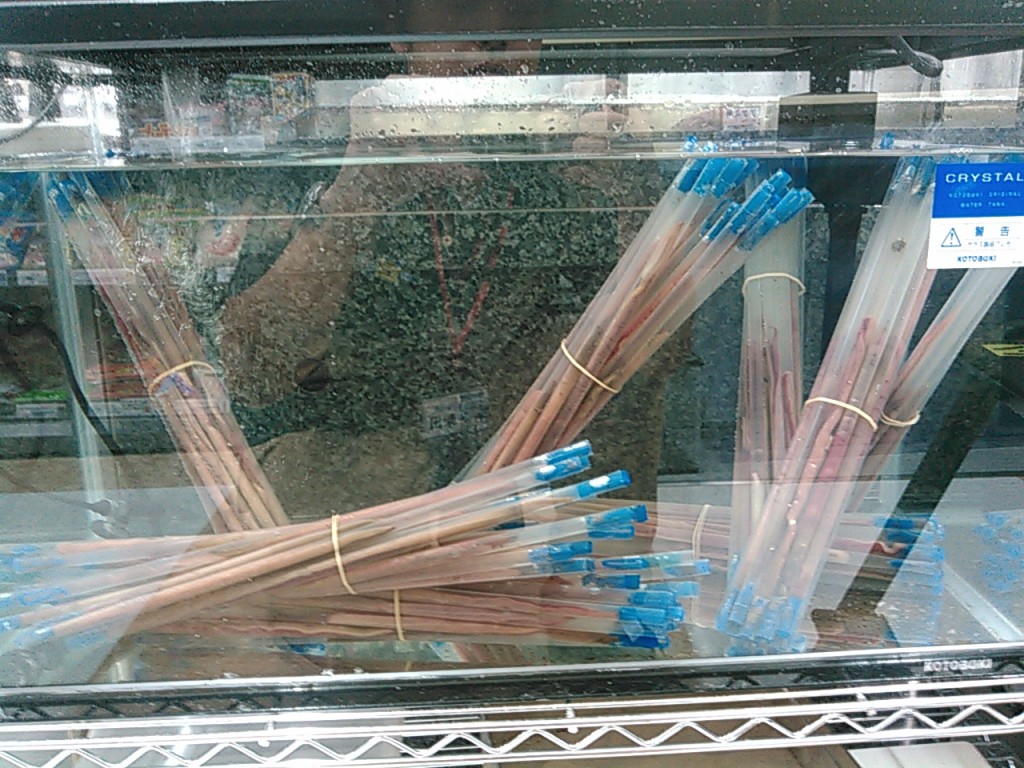 黒鯛の最高のごちそう！？