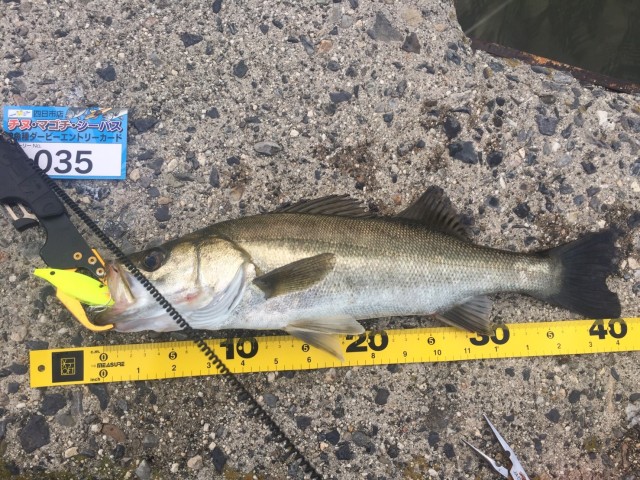 5cc86896-5cfb-40d2-ae8e-89df00f0967b