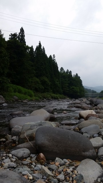 6e145dae92f24e8833e7a9af9be9f7a9t6b7573d