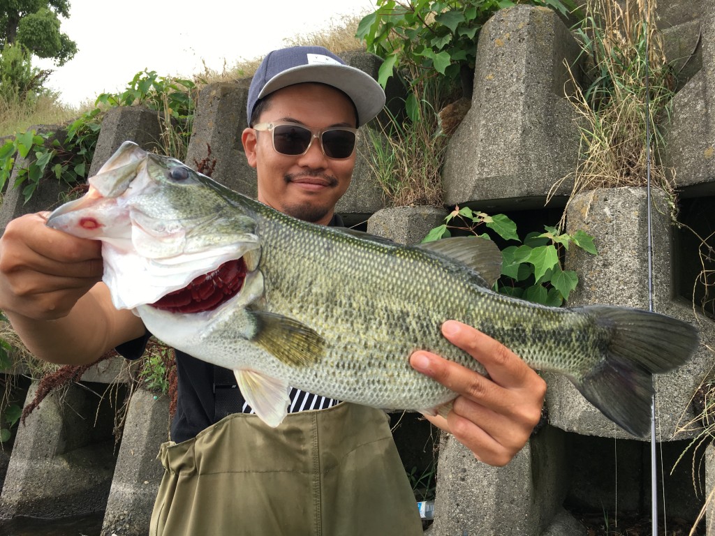 琵琶湖釣れています‼