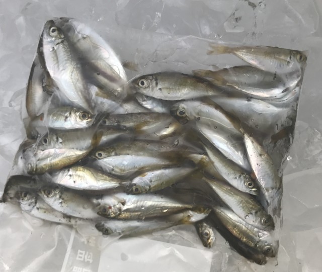 !cid_15d028877eb750252254