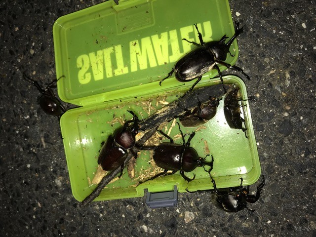 !cid_41AC99E3-D05A-4029-8183-5729A6DAC01A