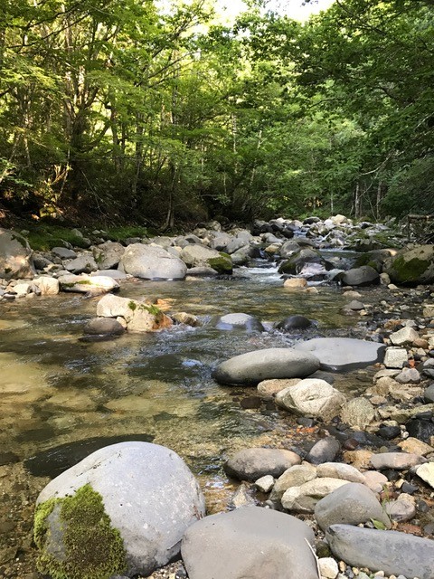 !cid_A79CCF0F-CD31-4355-BDE6-8705F4154C1C