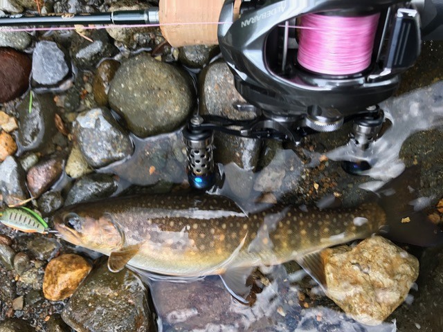 !cid_B808A3CB-14E8-41E1-91EC-17DB9B7844C5