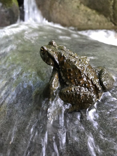 !cid_C67430C3-C145-4A0C-991B-1D286AAAFF8A