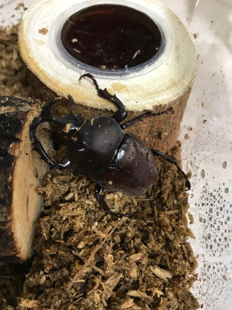 !cid_C6B6BE46-B289-4D0B-AD86-B92B611E0797