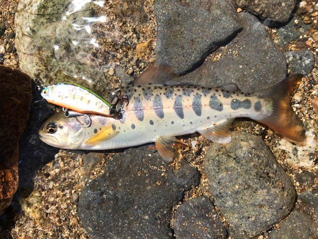 !cid_D42A750E-F1A4-4772-9274-0E87BB440CE2