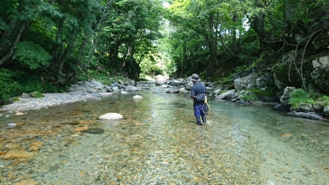 !cid_EBC35AFB-6A35-494E-946A-D23B0991B562