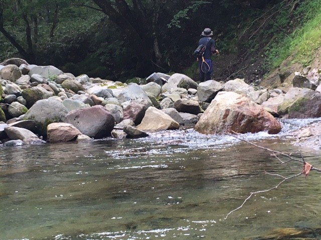 !cid_73AEEA0A-8162-47D5-A2C0-7C8F617D51A9