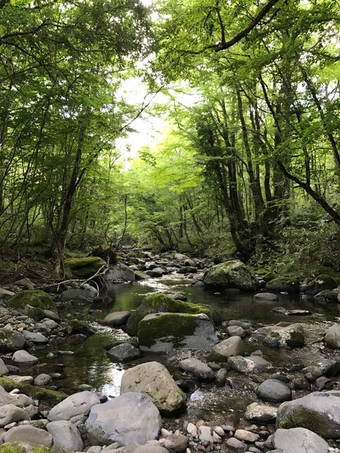 !cid_CA9E2C17-972D-44C1-B372-FAA49869E6F7