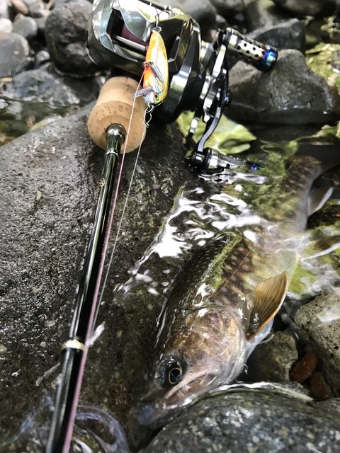 !cid_D12D0AE1-ACD9-43C2-B6E2-A761DB8E4F91