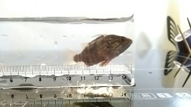 3545e996-8f24-414c-afda-8fd1c1a39bd8