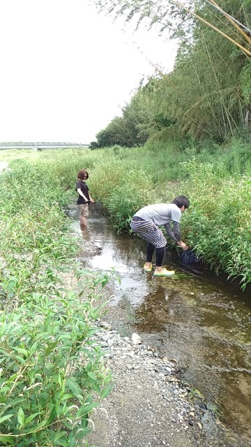 371c9118-5df5-4550-b47b-4a3909f4ab49