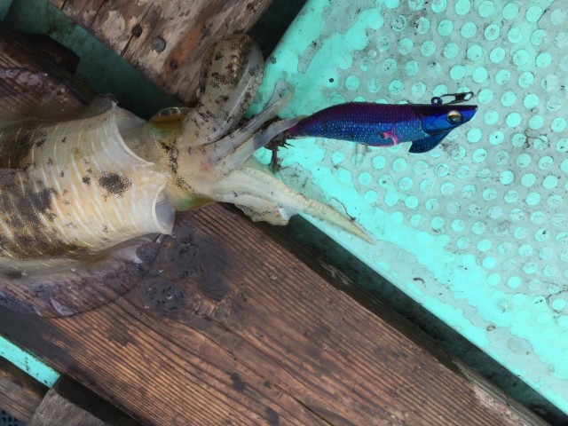 4d235eb9-a7ef-4dad-957d-afec72ab79e7