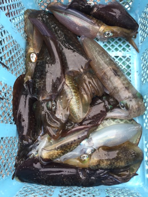 85802b56-16ce-4a4f-ac8b-87a69cb93ac2