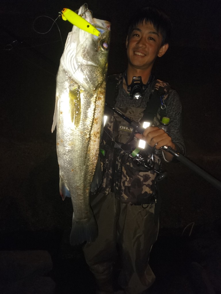 名古屋港シーバス爆釣中！！