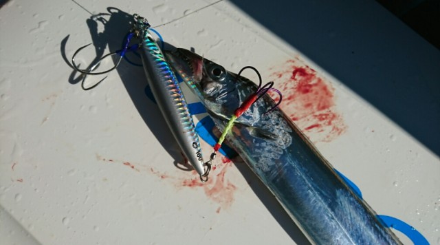 IMG_20170909_150822157