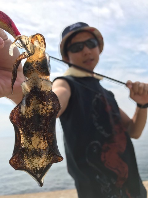 !cid_010C70C3-14BE-4D73-AB0E-A99C911945E6