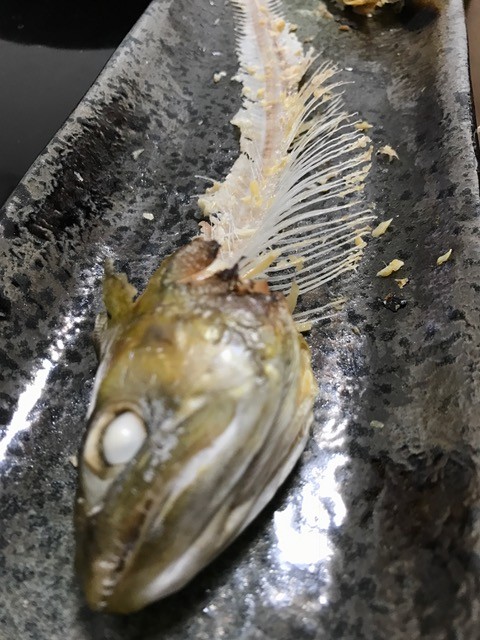 !cid_04A666A0-8FE2-4411-8EB5-4390F08E2E04