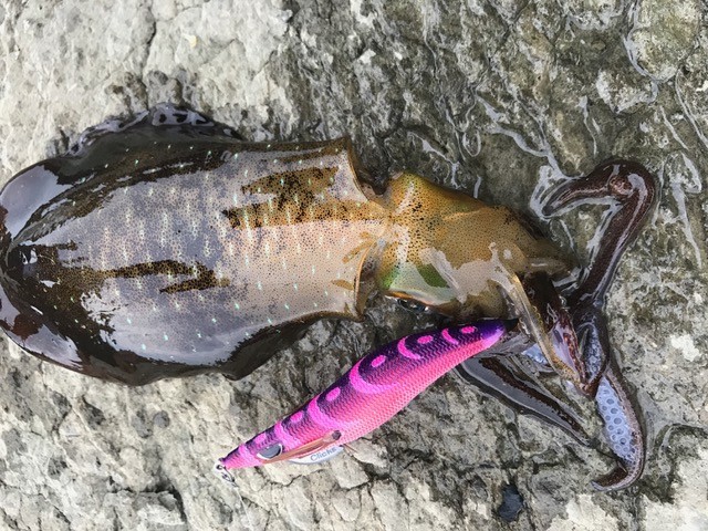 !cid_9E976038-DB67-44F3-B501-E6E226D62A6B