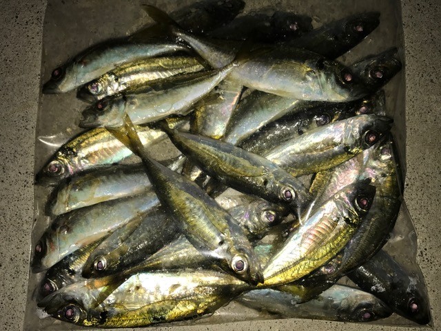 !cid_B2245DDB-FDC3-4E99-9283-741E65B68E45