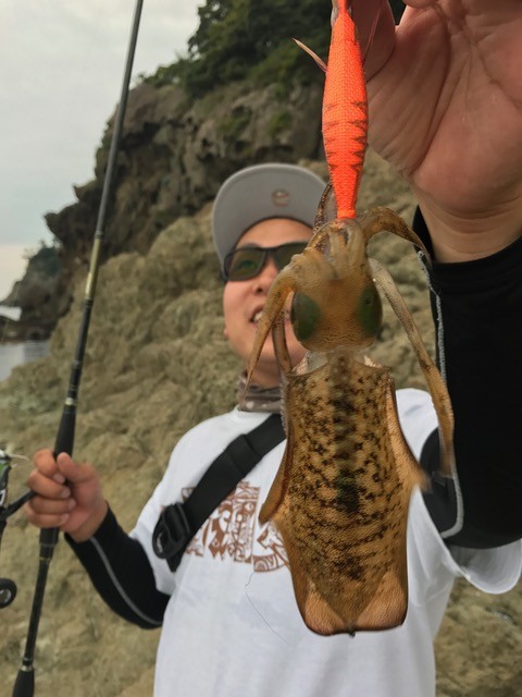 !cid_C3B02AAD-76F7-403E-B3E8-16240EA2CE3A