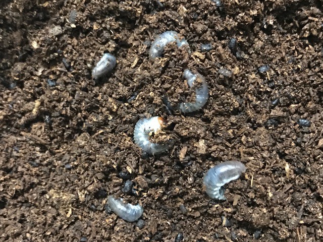 !cid_E3CDB680-BBEB-4B55-BF3D-3B01B0606F56