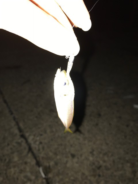 !cid_E75EF9F7-29BF-4304-89A7-D9490DC3BDE5