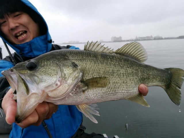 533c0524-b30f-41fb-a576-ab7bf42654d7