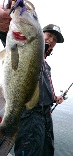 5bcda6d5-1727-486b-a5b2-fbb085cf5c8a