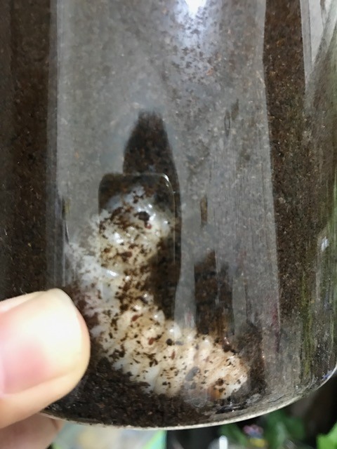 !cid_6ECE5060-E83B-491C-BE55-2C83A65AA0D6