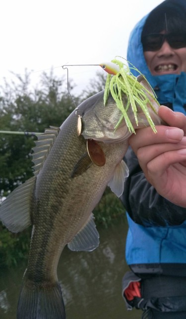 !cid_A8FCFD73-2822-4A36-A902-89B0A082479C