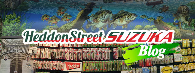 cropped-heddonst_blog_tit