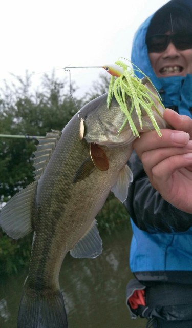 f0776b48-07d9-4671-9fbf-6afef4c2f622