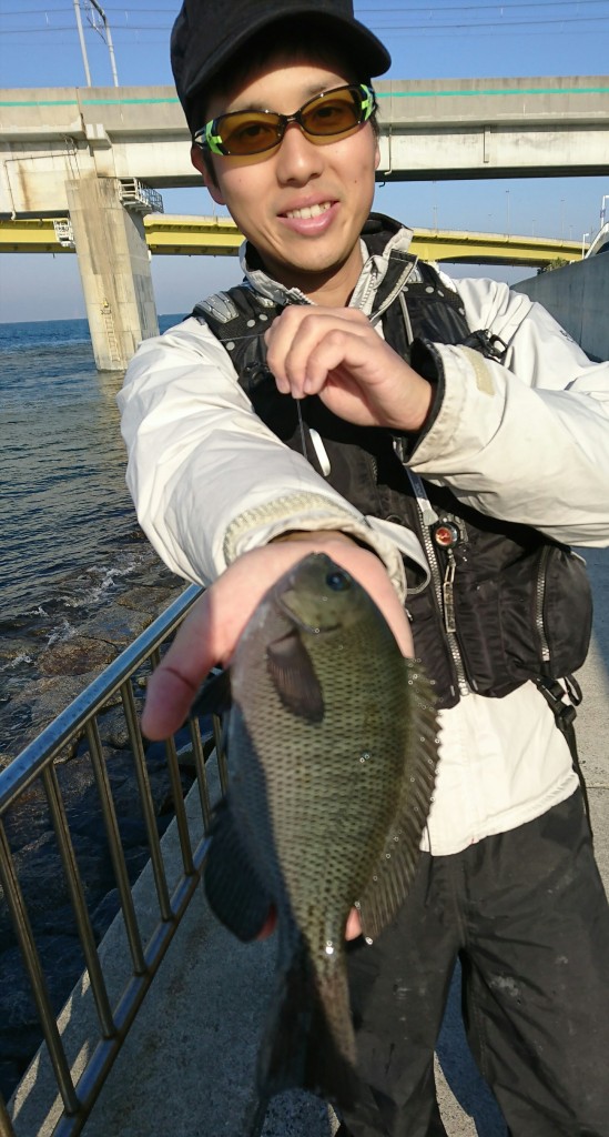 常滑りんくう釣り護岸釣れてます♪