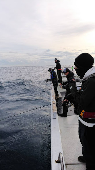 4C333EF7-1A1B-4088-AB56-5F7963C29857