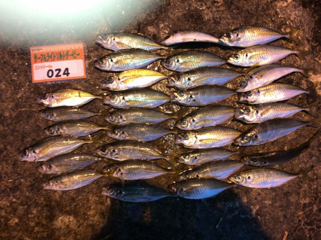 7281e1b5-3df8-4966-81d7-2dc2c91d5288