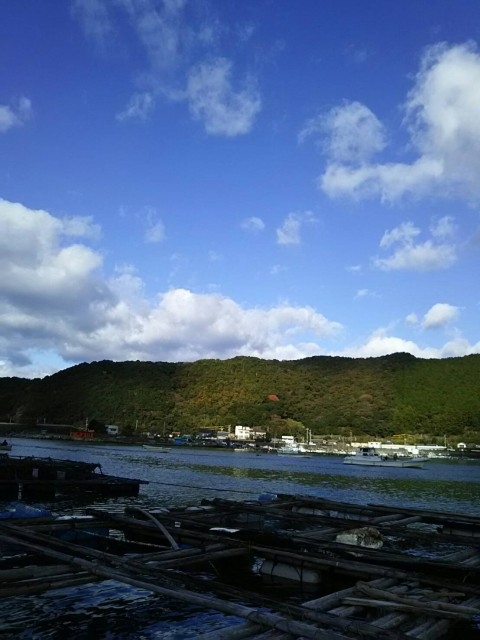 79622f97-af72-4f35-b5bb-a174d1413908