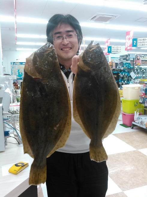 師崎ヒラメ解禁！！