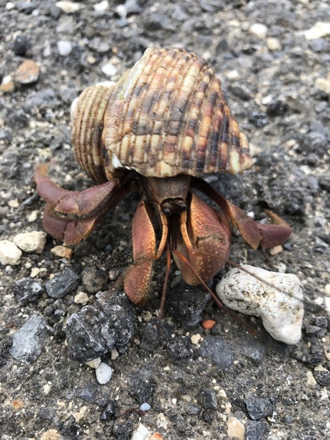 !cid_2DFA207D-2CE1-4D95-8F2A-D77CCBC46A7C