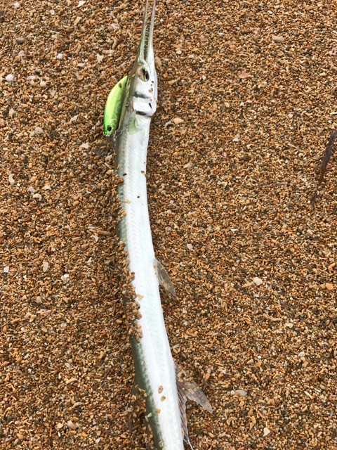 !cid_6007736F-31BF-4E7B-BE25-C4870546C327