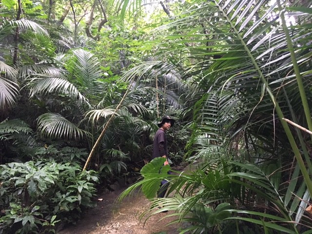 !cid_77602834-4443-4102-81F2-FB3294E660F4